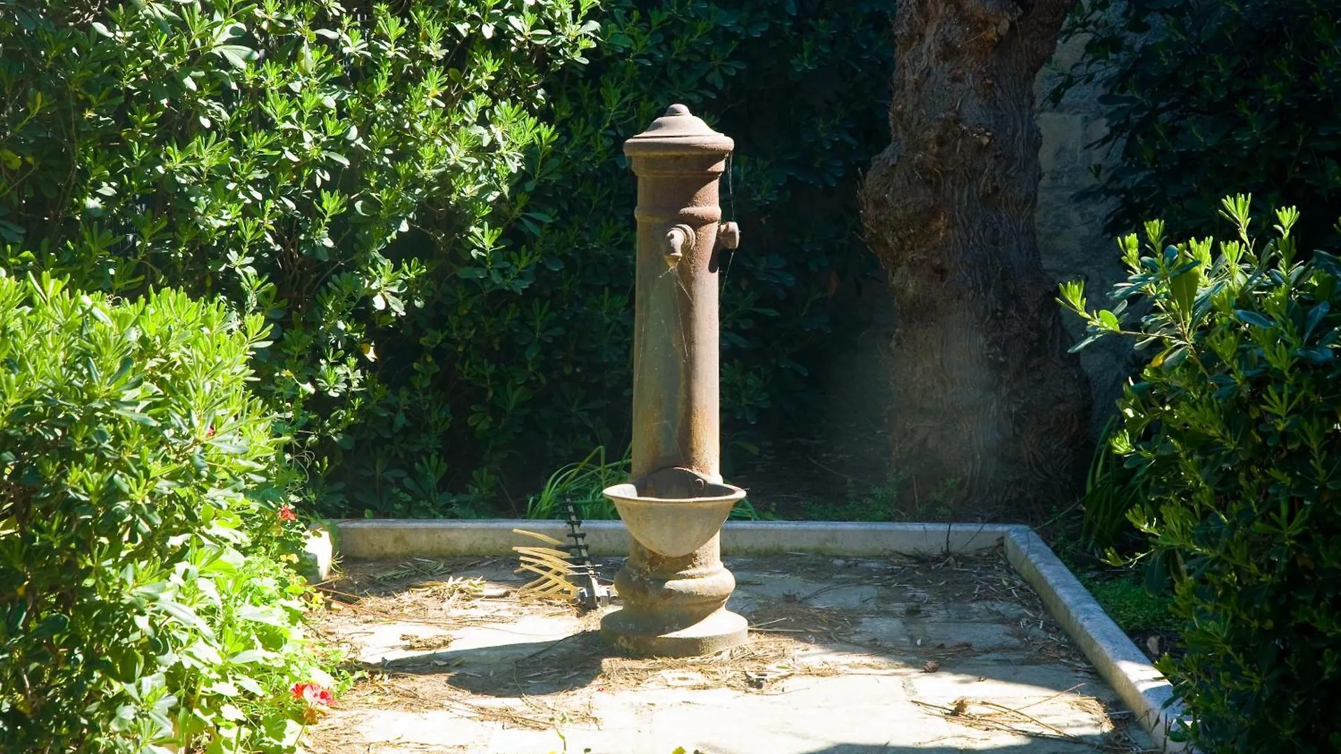 Bed and Breakfast Vento Di Mare Bari