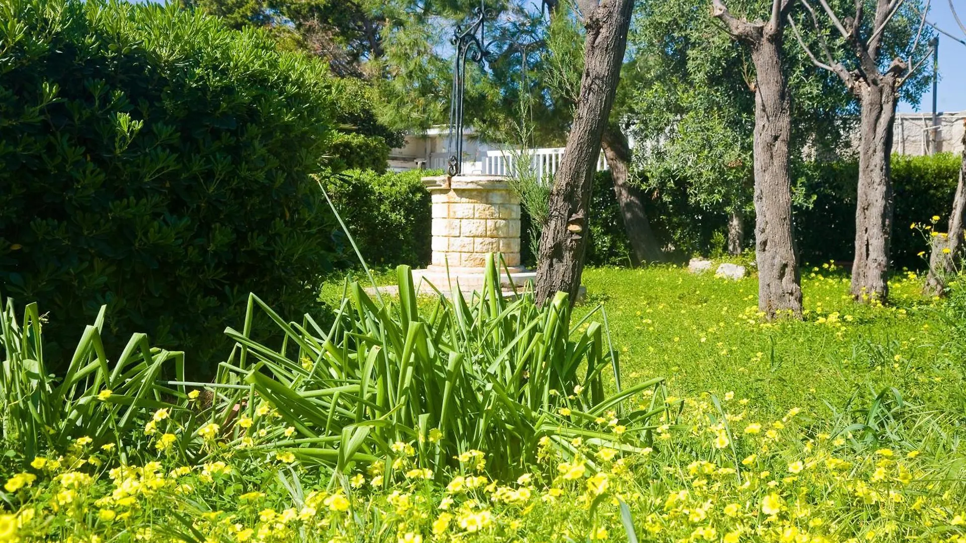 Vento Di Mare Bed & Breakfast Bari